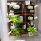 Illustration for article titled Astronauts' Veggie Garden in Space is About to Grow a Burst of Color